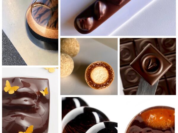 Thorough immersion in the world of chocolate: +600 hours of HD videos, all online live classes and all chocolate classes.