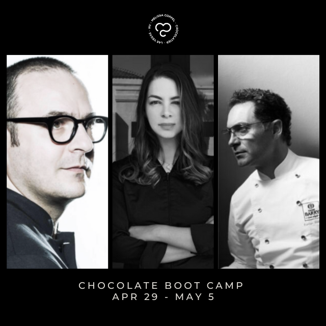 https://melissacoppel.com/wp-content/uploads/2022/05/Chocolate-BootCamp-IV_Courses-Grid.png