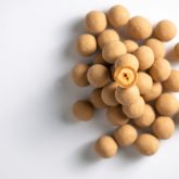 Caramelized Hazelnuts and Croissant Dragées